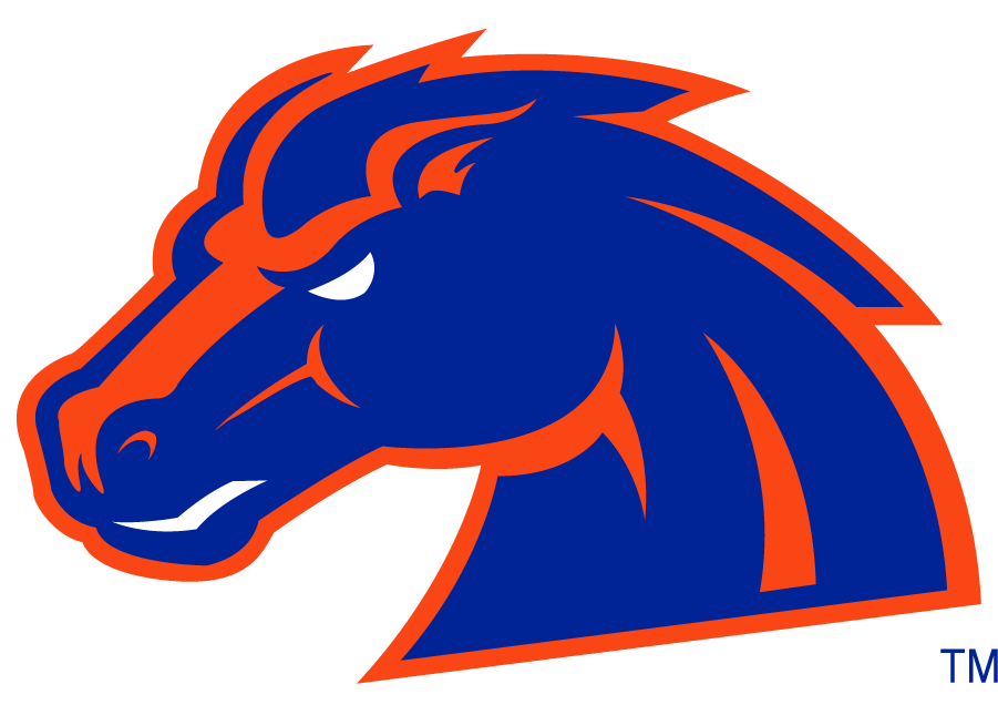 Boise State Broncos 2002-2012 Secondary Logo v5 diy iron on heat transfer